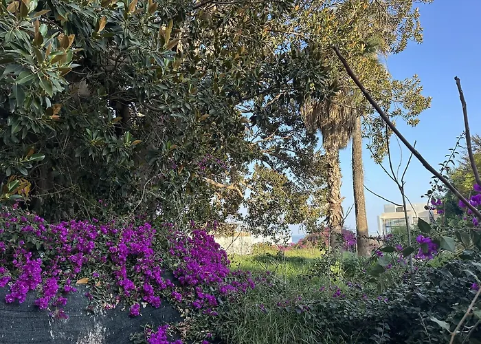 En Pleno Centro De Torremolinos